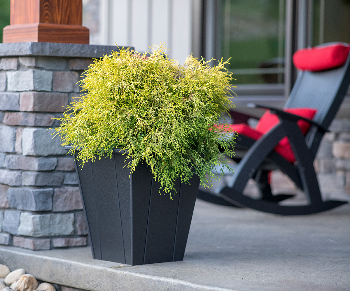 Elite Planter 2 Elite Planter - Image 2