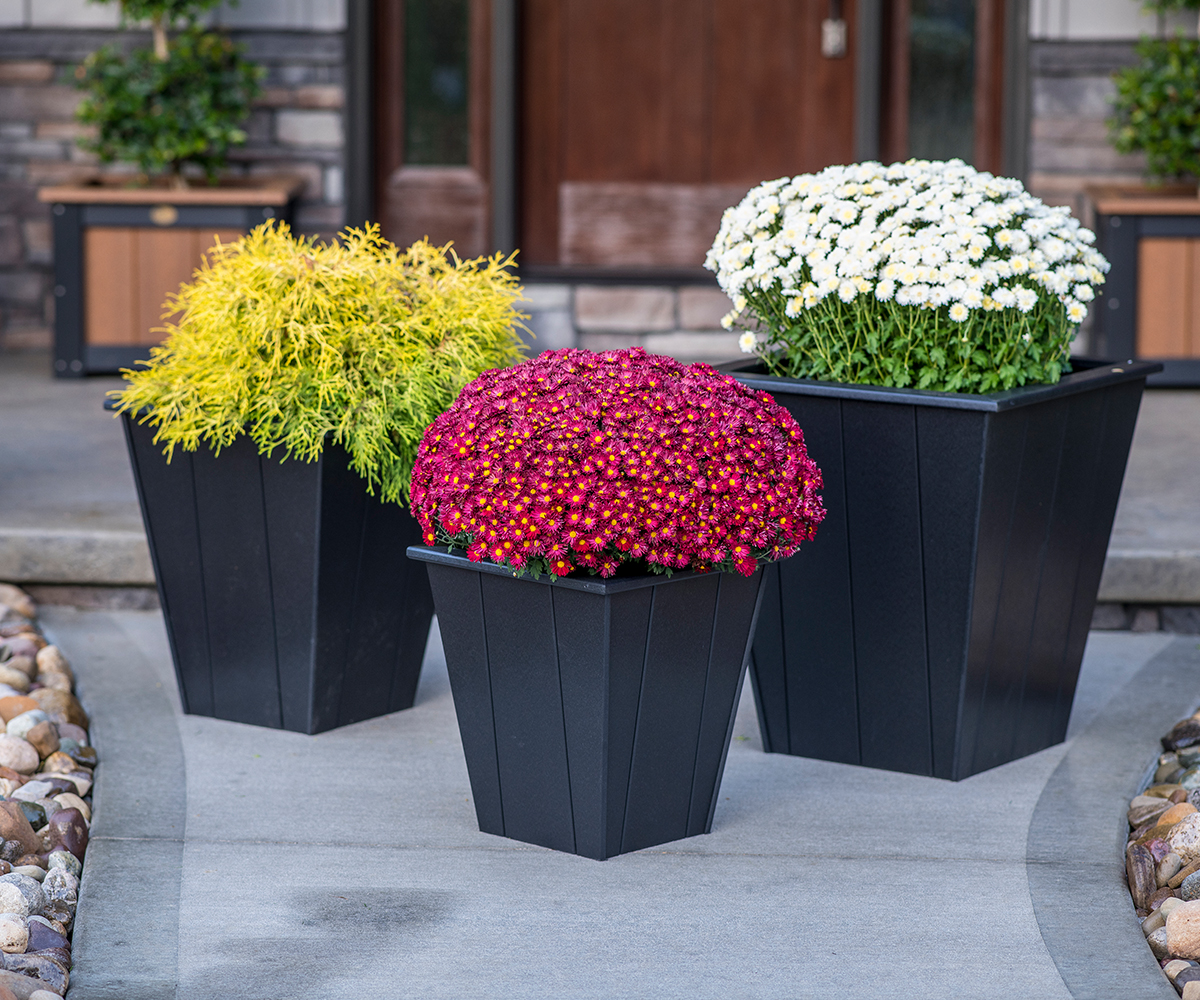 Elite Planter 4 Elite Planter - Image 4